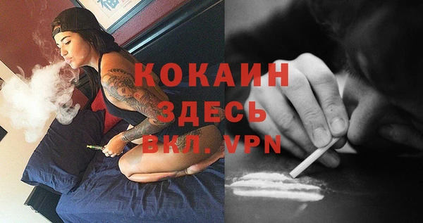 эйфоретик Белокуриха