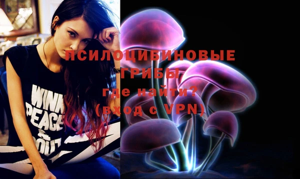 эйфоретик Белокуриха