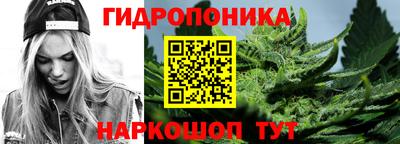 стаф Кулебаки