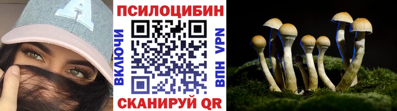 купить наркотик Тара Псилоцибиновые грибы Magic Shrooms