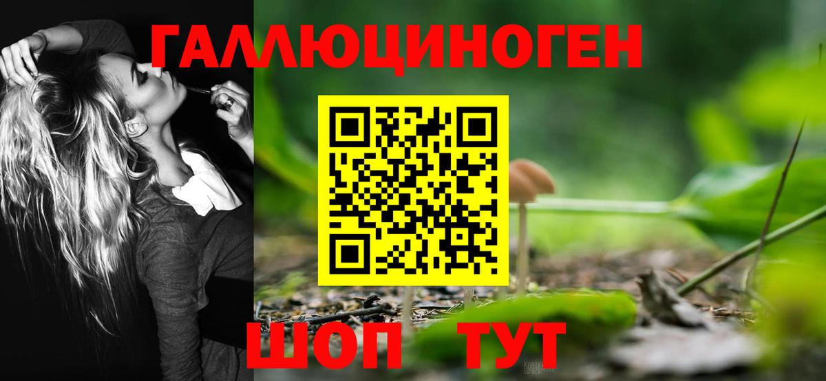 Тара  Галлюциногенные грибы прущие грибы  где купить наркотик  Вход с VPN 